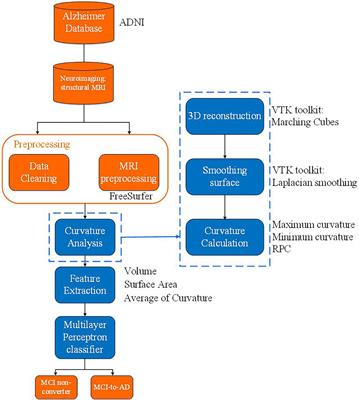 Neuroimage Biomarker Identification of the Conversion of Mild Cognitive Impairment to Alzheimer’s Disease